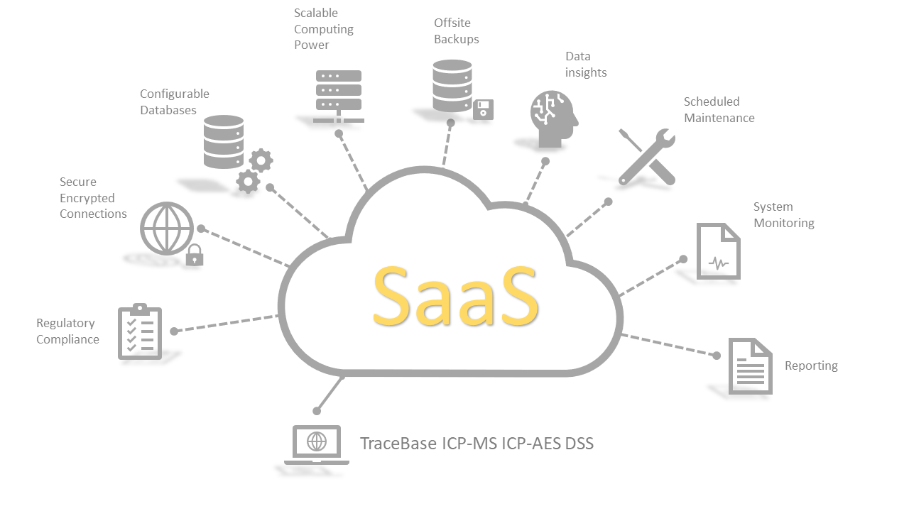 Software as a Service (SaaS)